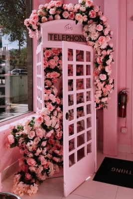 Planta Orquídea Rosa  Floristerías en Valencia  Floristería 