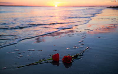 Centro Lágrima Blanco y Rojo, Centros de Flores para Tanatorio, Flores para Difuntos, Flores para Fallecimientos, Centro para dar Condolencias