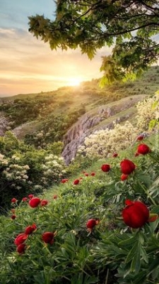 Corona Funeraria Selecta, Corona de Flores para Difuntos, Flores para Defunción, Envíos Florales al Tanatorio, Arreglos Florales Fúnebres