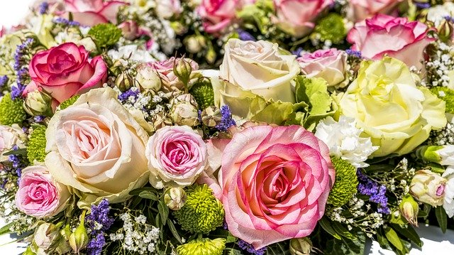 Flores floristeria