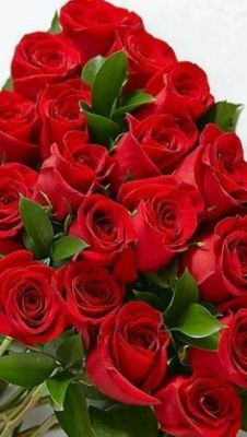 Ramo de 12 Rosas, Regalar Ramos de Rosas Rojas, Ramo para el Día de la Madre, Ramo para San Valentín, Enviar Rosas Rojas a Domicilio