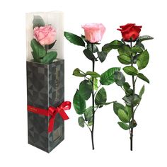 Rosa Preservada, Regalo de San Valentín, Rosa Eterna, Floristería Online, Rosas Naturales, Floristerías en Valencia, Floristería Flores Laura