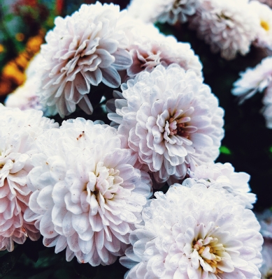 Centro Lágrima tonos Blancos, Enviar Flores Blancas al Tanatorio, Flores para Difuntos, Floristería en Valencia, Comprar Flores Online