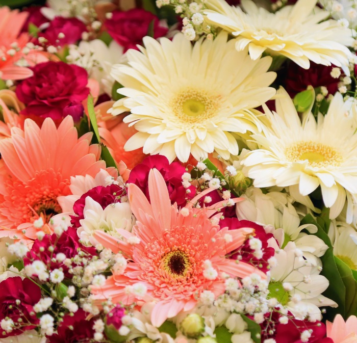 Floristeria cumpleaños