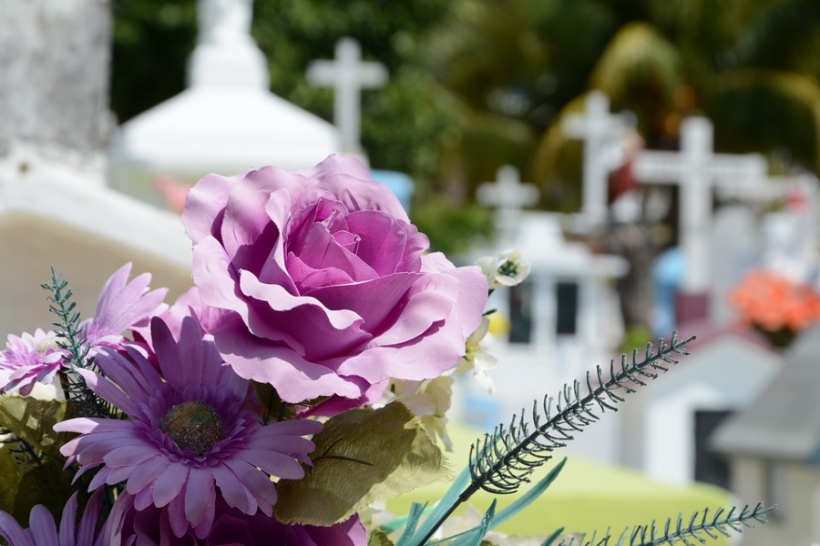 Flores para el cementerio