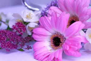 Ramo Flores Viena, Floristerías en Valencia, Ramo Blanco para Regalar, Flores en Valencia, Arreglos Florales, Comprar Flores Online