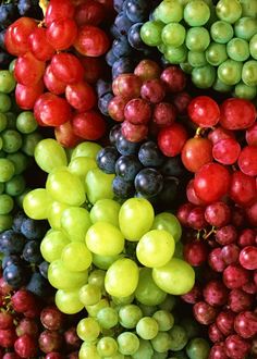 Cesta de Frutas Kenia, Cestas de Frutas para Regalar, Cesta de Frutas a Domicilio, Cestas de Fruta para Ocasiones Especiales, Arte Floral