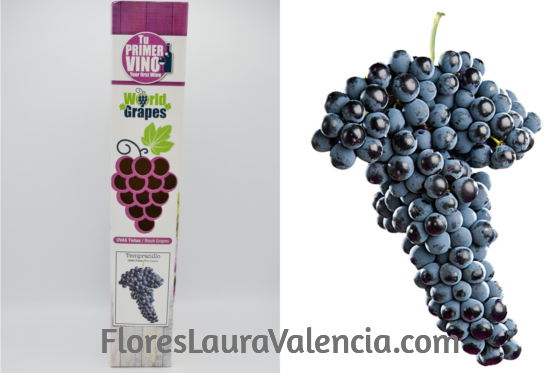 Uva de Vino tintas Tempranillo