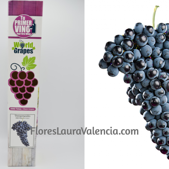 Uva de Vino tintas Tempranillo